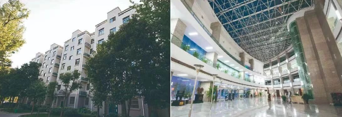 2025_11_04_1762224413_944867.png image.png